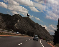 На машине в Испанию самостоятельно